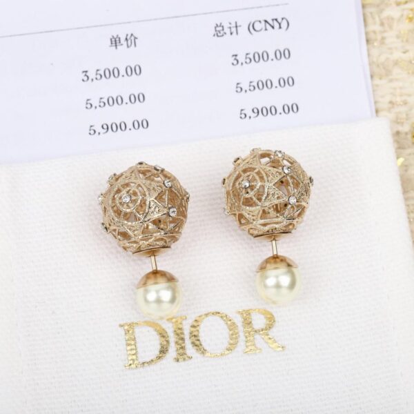 Boucles d'oreilles polies Dior (VSBG8)