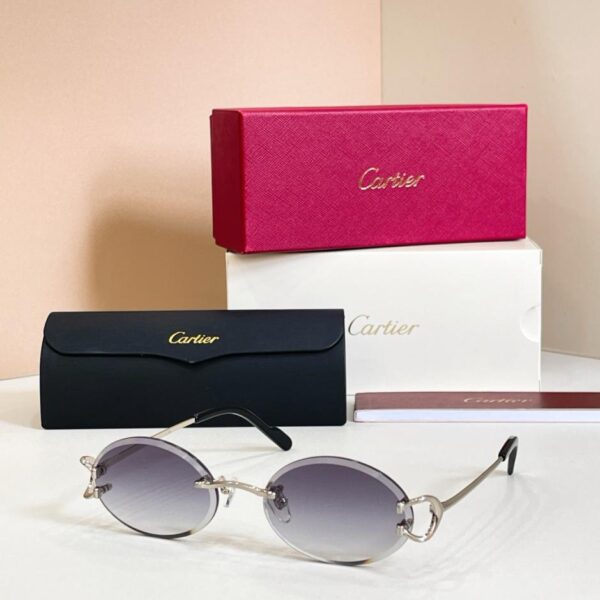 Lunettes de soleil Cartier, modèle CT0920S (U1JQTE)