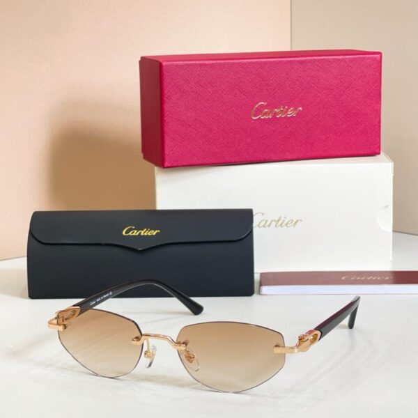 Lunettes de soleil Cartier, MODÈLE CT0580S (999MBC)