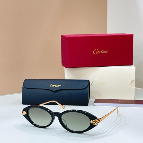 Lunettes de soleil Cartier, modèle CT0634S(89I79H)