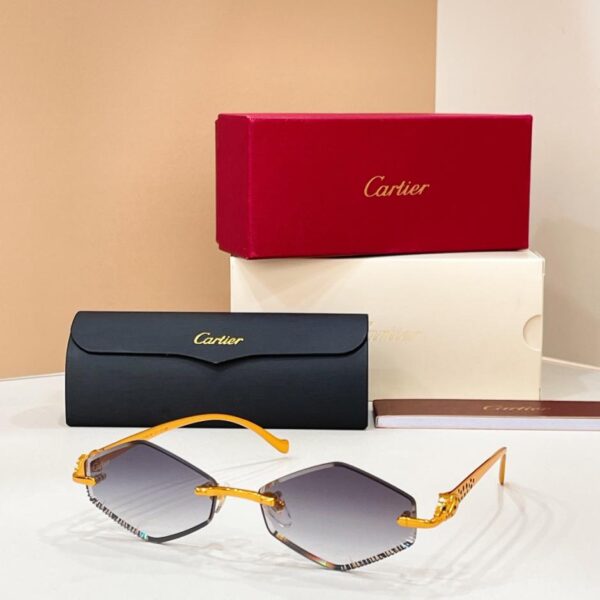 Lunettes de soleil Cartier, modèle CT0917S (EZ76CN)