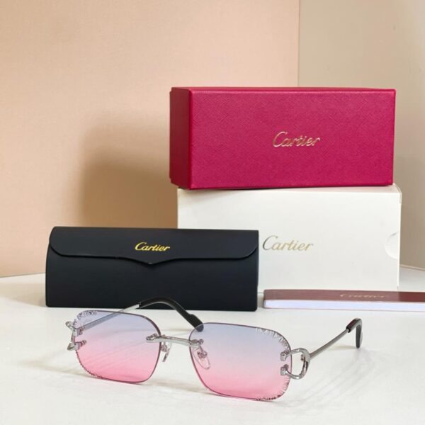 Lunettes de soleil Cartier, modèle CT0919S (W2YH1E)
