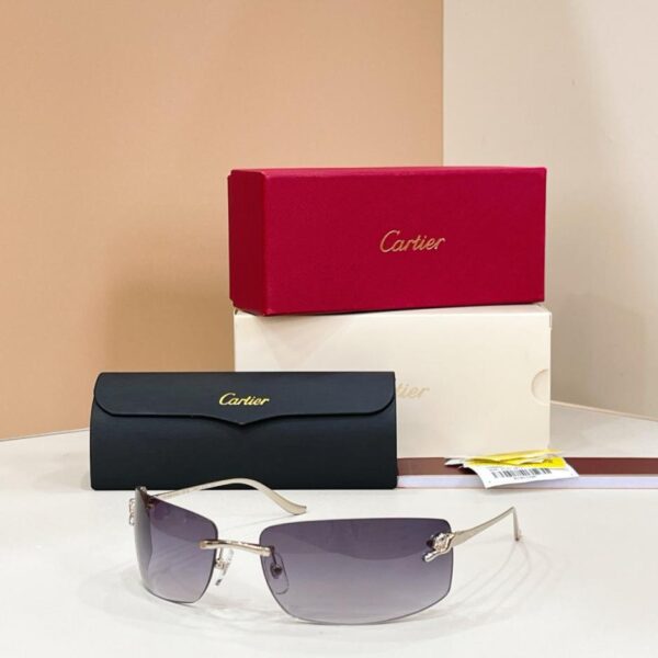 Lunettes de soleil Cartier, MODÈLE CT0503S (Y69LJK)