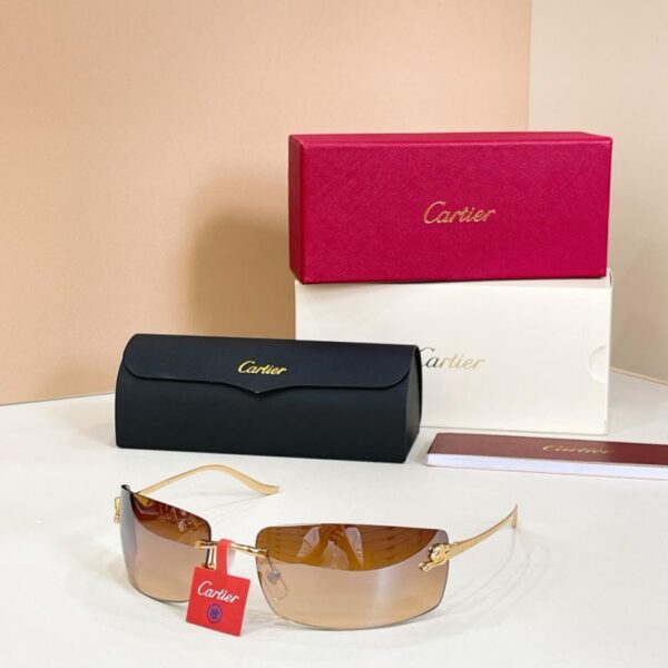 Lunettes de soleil Cartier, modèle CT0503S (JHI0KS)