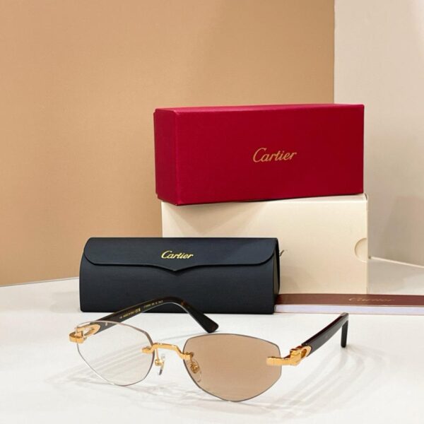 Lunettes de soleil Cartier, modèle CT0580S(H8YFTK)