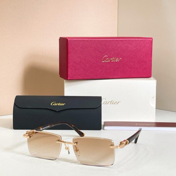 Lunettes de soleil Cartier, modèle CT0582S(9TYGXV)