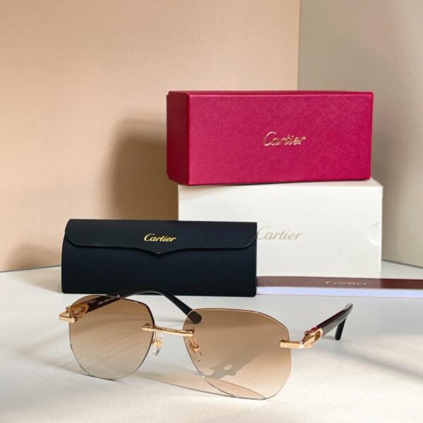 Lunettes de soleil Cartier, modèle CT0583S (NHSGFD)