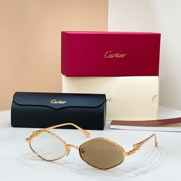 Lunettes de soleil Cartier, modèle CT0751S (VN9MZD)