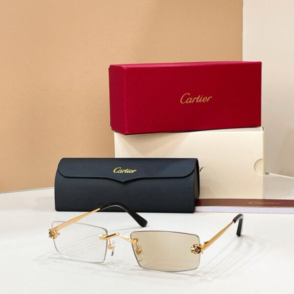 Lunettes de soleil Cartier sans monture, MODÈLE CT0598S(Z06RIX)