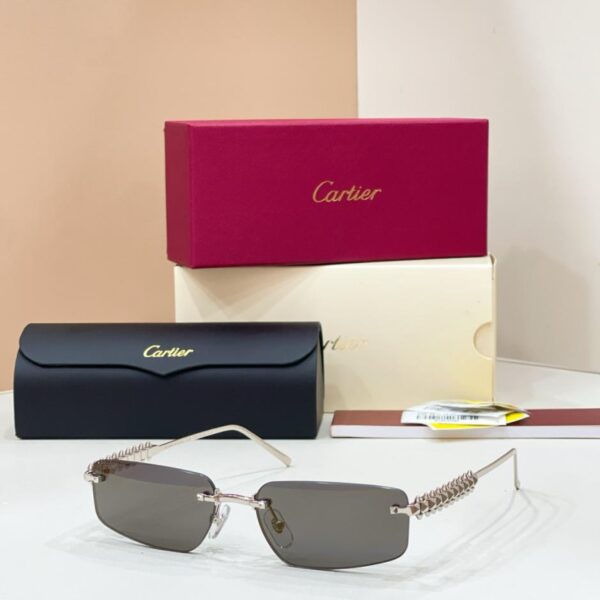 Lunettes de soleil Cartier, modèle CT0544S (56M51Y)