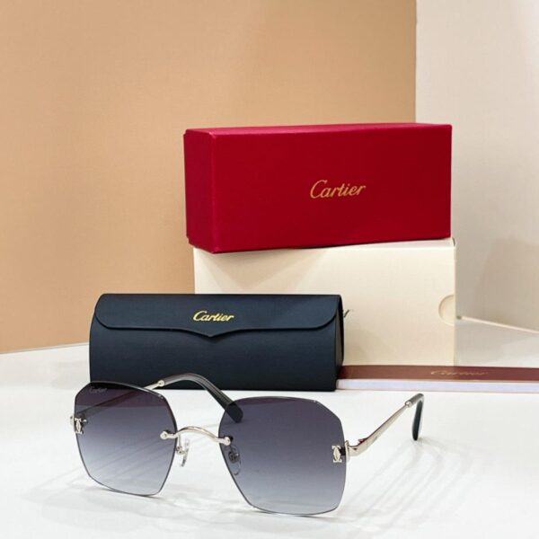 Lunettes de soleil Cartier, MODÈLE CT0591S (8TSIWS)