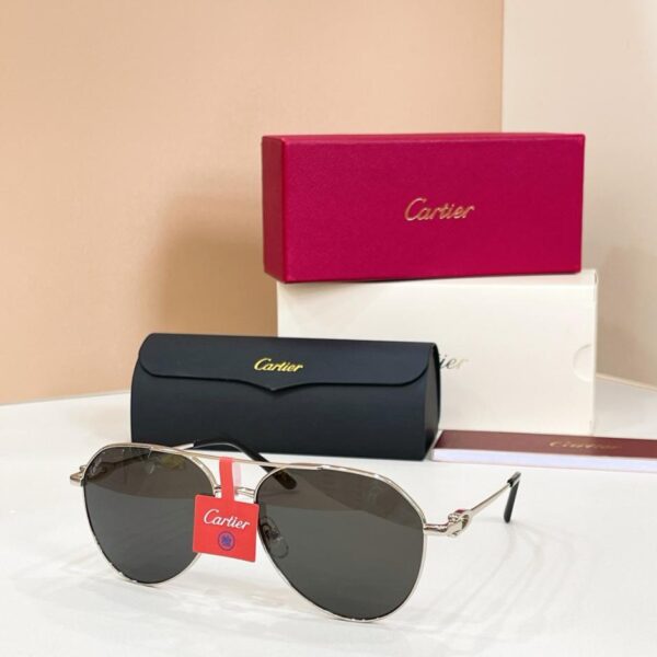 Lunettes de soleil Cartier, modèle CT0364S(11S7CE)