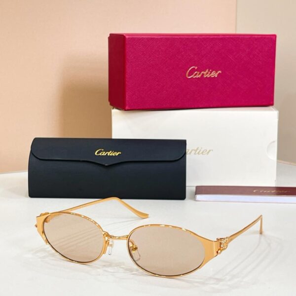 Lunettes de soleil Cartier, MODÈLE CT0630S (KJ7MR7)