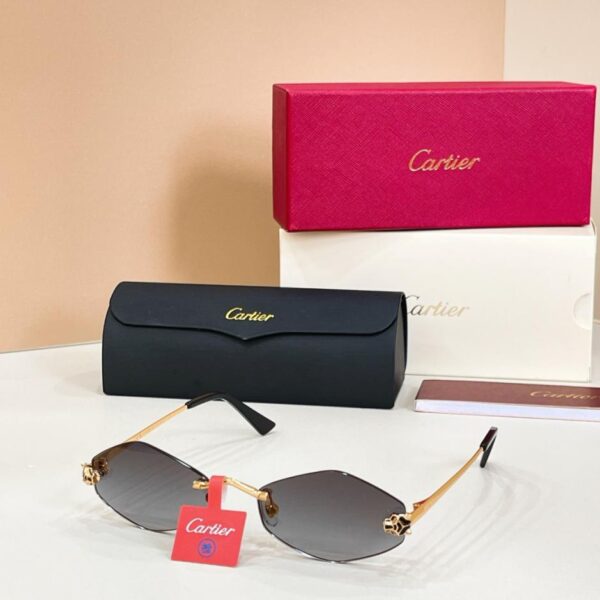 Lunettes de soleil Cartier, MODÈLE CT0433S (G6R30B)