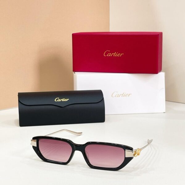 Lunettes Cartier, Modèle CT0657S(UX5EKH)