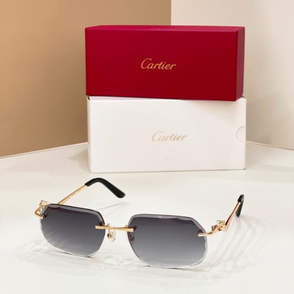 Lunettes Cartier MODÈLE CT0120O(EILG5F)