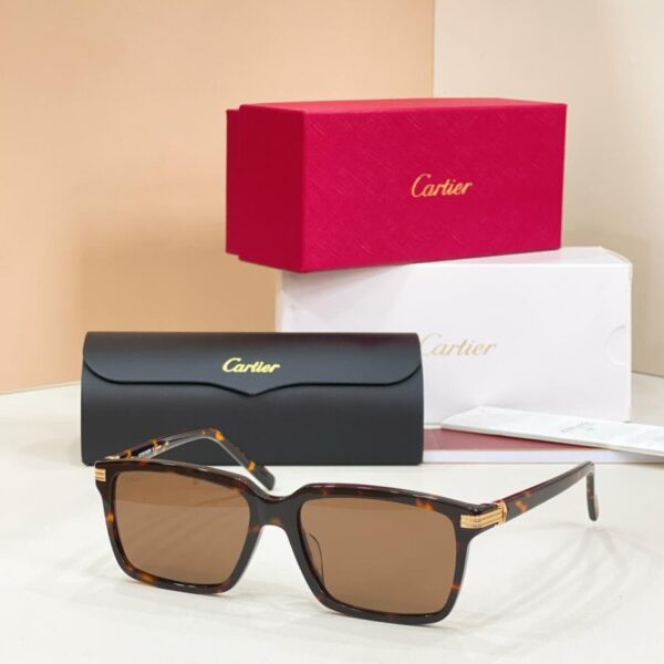 Lunettes Cartier MODÈLE CT0160S(19K719)